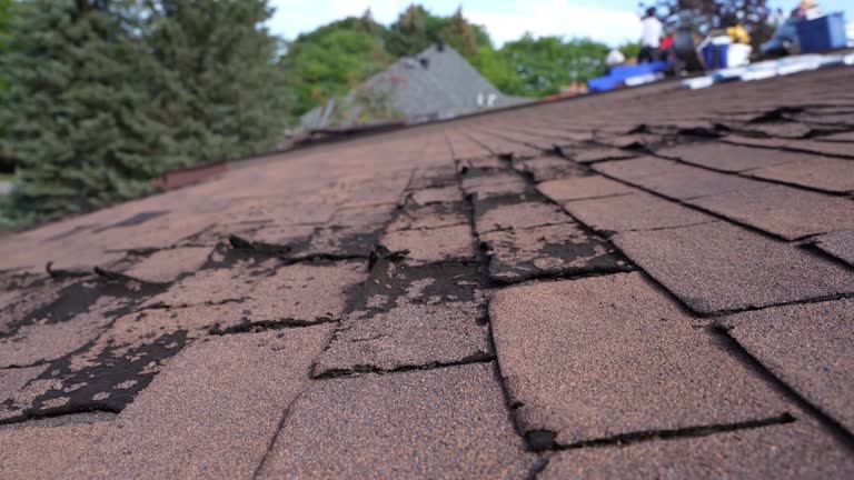  Hyde Rk, PA Roofing Service Pros