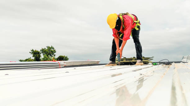 Best Roof Ventilation Installation  in Hyde Rk, PA